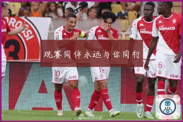 观赛同伴永远与你同行