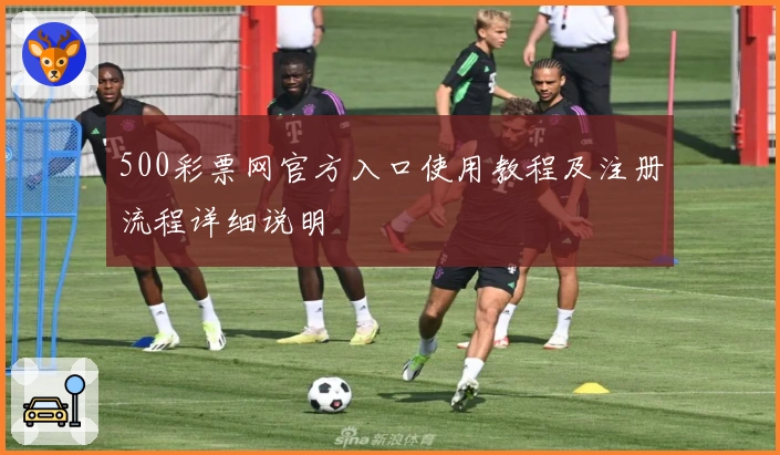 500彩票网官方入口使用教程及注册流程详细说明